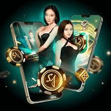 duy88
